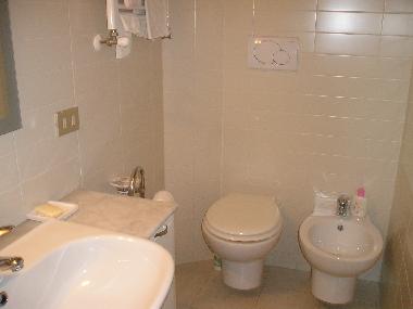 Holiday Apartment in Florence (Firenze) or holiday homes and vacation rentals