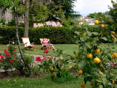 Bed and Breakfast in Lucca (Lucca) or holiday homes and vacation rentals