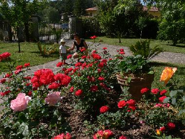 Bed and Breakfast in Lucca (Lucca) or holiday homes and vacation rentals