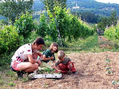 Bed and Breakfast in Lucca (Lucca) or holiday homes and vacation rentals