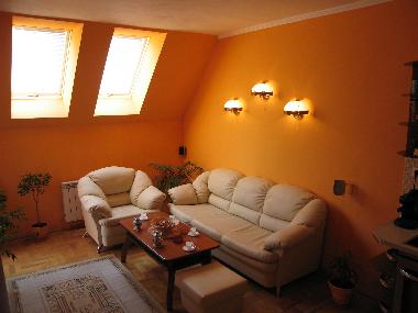 Living room - kitchenette