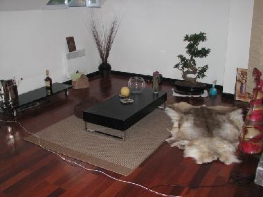 Holiday Apartment in toulouse (Haute-Garonne) or holiday homes and vacation rentals