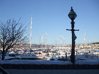 Winter Scene of the Marina from The Mulberry Pub