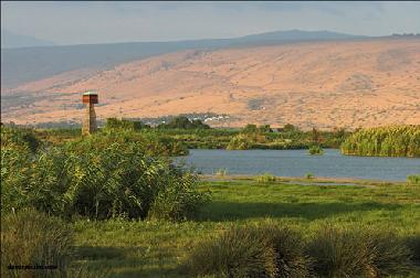 Ahula Nature Reserve