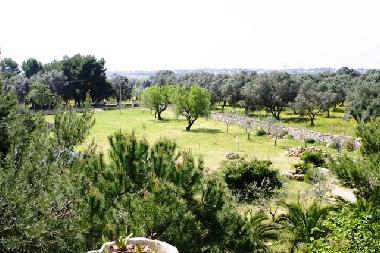 Holiday Apartment in maruggio (Taranto) or holiday homes and vacation rentals