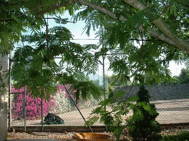 Holiday Apartment in maruggio (Taranto) or holiday homes and vacation rentals