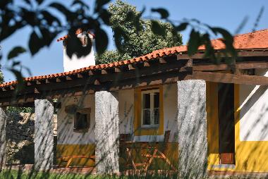 the house 