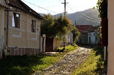 Vale, village street (Sibiu, Transylvania, Romania)