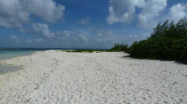 Holiday Apartment in Pereybere (Pereybere) or holiday homes and vacation rentals