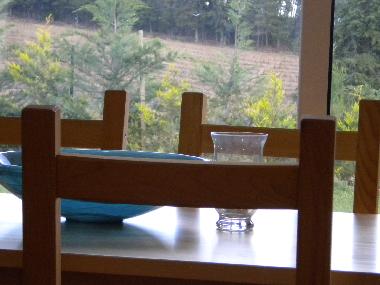 Bed and Breakfast in sao martinho de anta (Norte) or holiday homes and vacation rentals