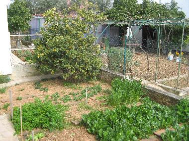 Holiday Apartment in Trogir (Splitsko-Dalmatinska) or holiday homes and vacation rentals