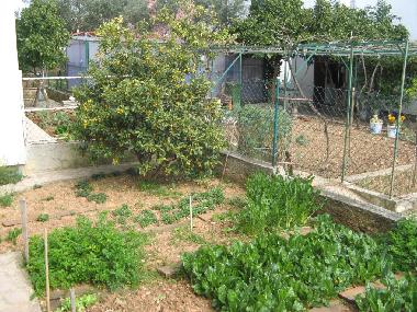 Holiday Apartment in Trogir (Splitsko-Dalmatinska) or holiday homes and vacation rentals