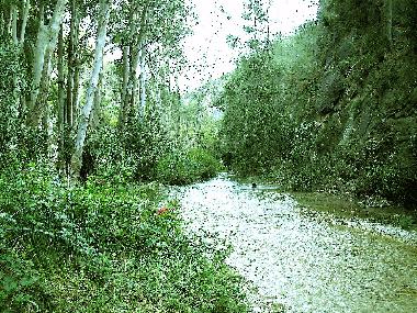 Holiday House in Nerja (Mlaga) or holiday homes and vacation rentals