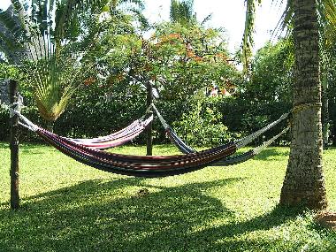 Holiday House in Diani (Coast) or holiday homes and vacation rentals