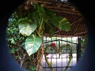 Holiday House in Diani (Coast) or holiday homes and vacation rentals
