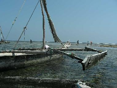 Holiday House in Diani Beach (Coast) or holiday homes and vacation rentals