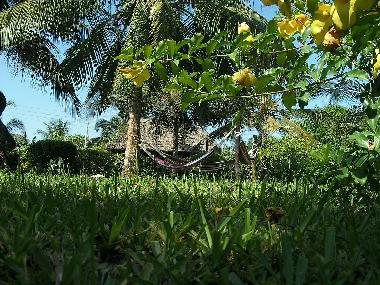 Holiday House in Diani Beach (Coast) or holiday homes and vacation rentals