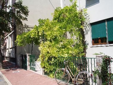 Holiday House in Pesaro (Pesaro e Urbino) or holiday homes and vacation rentals