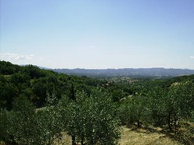 landscape from the house