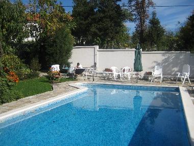 Pool And Sun Terrace