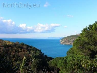 Villa in Levanto  (La Spezia) or holiday homes and vacation rentals