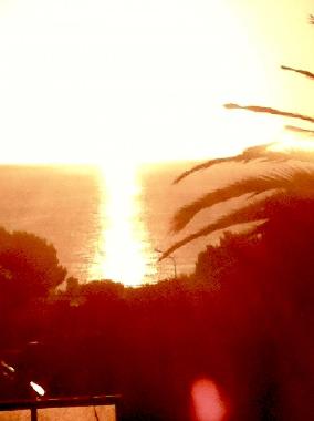 Holiday Apartment in Manacor (Mallorca) or holiday homes and vacation rentals