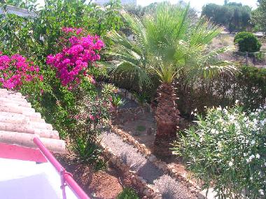 Holiday House in Playa Romantica (Mallorca) or holiday homes and vacation rentals