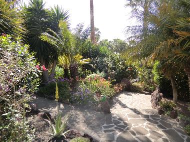 Holiday House in La Matanza  (Teneriffa) or holiday homes and vacation rentals