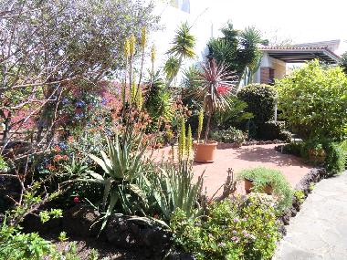 Holiday House in La Matanza  (Teneriffa) or holiday homes and vacation rentals
