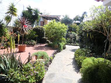 Holiday House in La Matanza  (Teneriffa) or holiday homes and vacation rentals