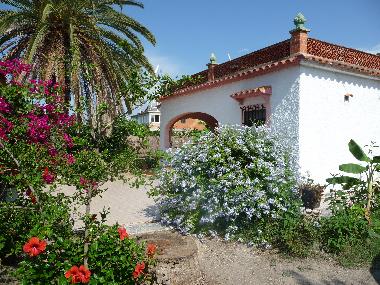 Holiday House in oliva (Valencia / Val�ncia) or holiday homes and vacation rentals