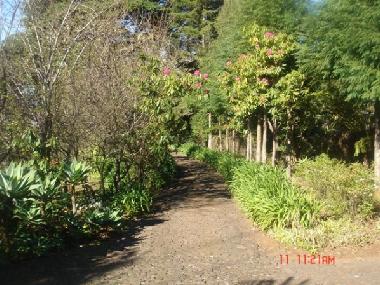 Holiday House in Funchal (Madeira) or holiday homes and vacation rentals