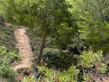 Holiday House in scholi (Kyklades) or holiday homes and vacation rentals