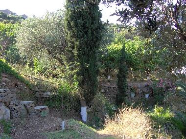 Holiday House in scholi (Kyklades) or holiday homes and vacation rentals