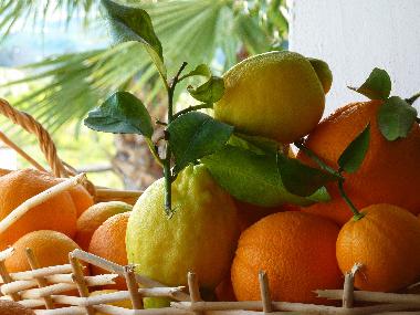 Villa in Alora (Mlaga) or holiday homes and vacation rentals