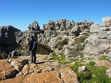 Villa in Alora (Mlaga) or holiday homes and vacation rentals