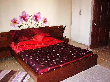 Villa in Kusadasi (Izmir) or holiday homes and vacation rentals