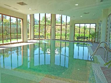 Holiday Apartment in Benahavis (Mlaga) or holiday homes and vacation rentals