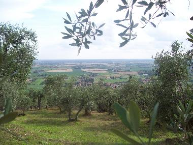 Holiday House in Rigoli (Pisa) or holiday homes and vacation rentals