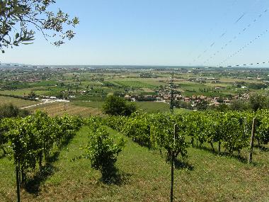 Holiday House in Rigoli (Pisa) or holiday homes and vacation rentals