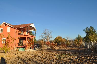 Now there are many fruit trees in the garden. 
