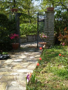 House in  Umbria/ Tuscany