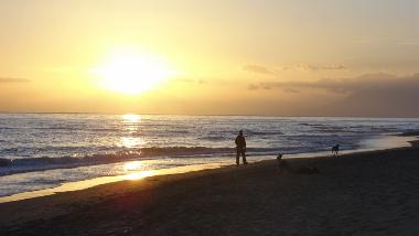 Holiday Apartment in MARBELLA (M�laga) or holiday homes and vacation rentals