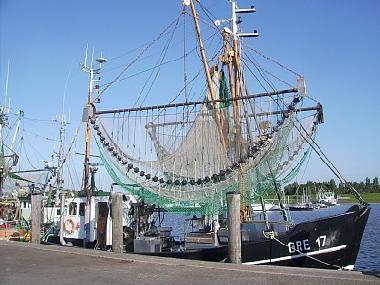 Holiday Apartment in Greetsiel (Nordsee-Festland / Ostfriesland) or holiday homes and vacation rentals