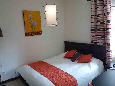 Studio New decoration