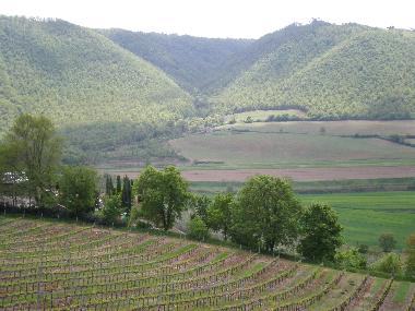 Bella Umbria