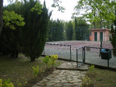 Tennis court