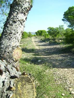 Holiday Apartment in Torrevieja (Alicante / Alacant) or holiday homes and vacation rentals