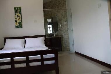 Bed and Breakfast in Kandy (Kandy) or holiday homes and vacation rentals