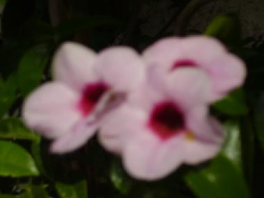 Holiday Apartment in Tel Aviv (Tel Aviv) or holiday homes and vacation rentals